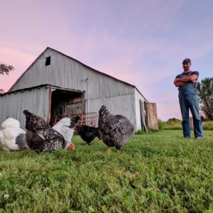 Tim Schulte with chickens