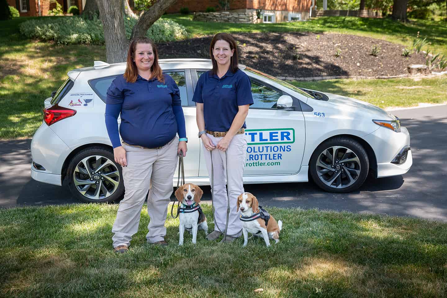 Commercial Bed Bug Treatment