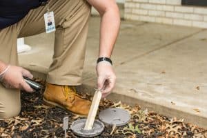 Commercial Termite Control