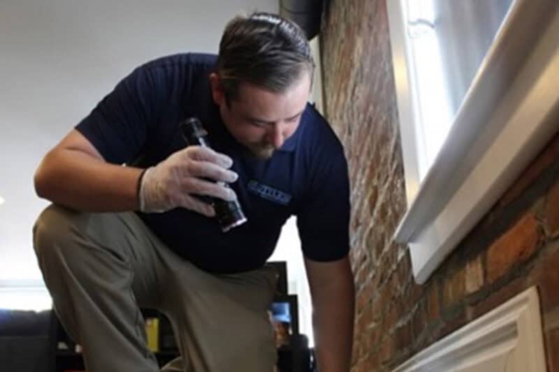 Fall Pest Inspections: Protect Your Home or Business Before Winter