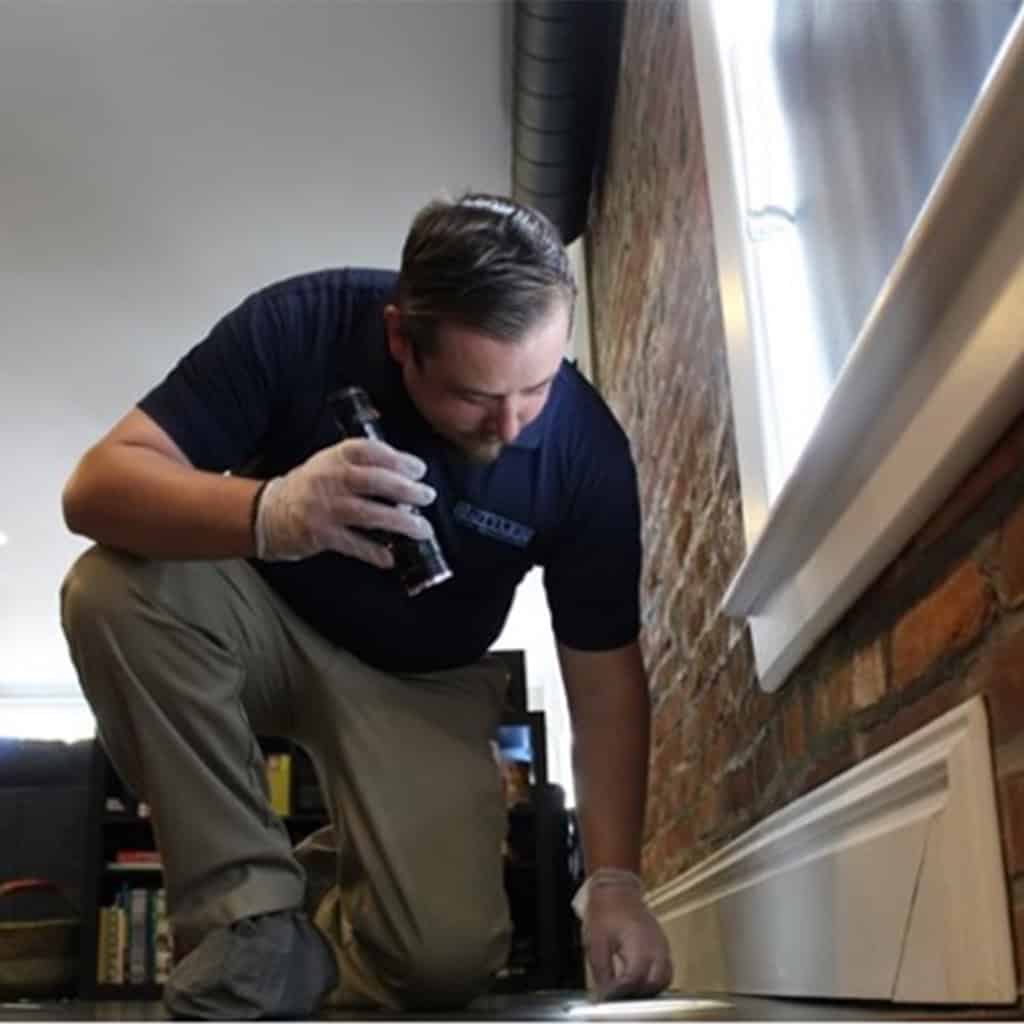 Fall Pest Inspections: Protect Your Home or Business Before Winter
