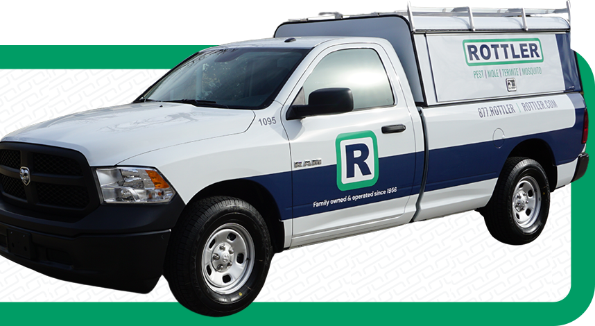 Featured Pest Control Service