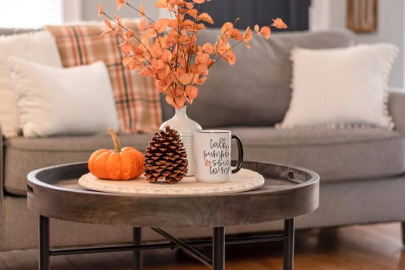 Keep Fall Cozy – Not Crawly