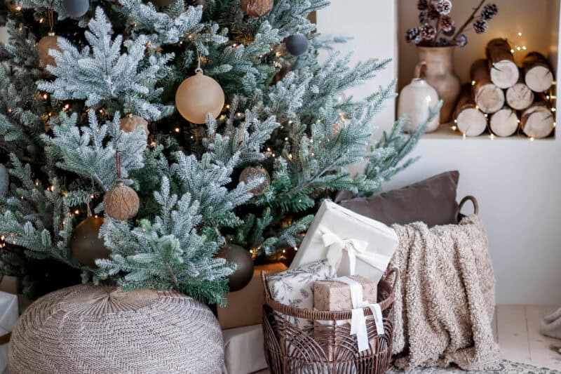 Pests That Can Ruin Your Holiday Season