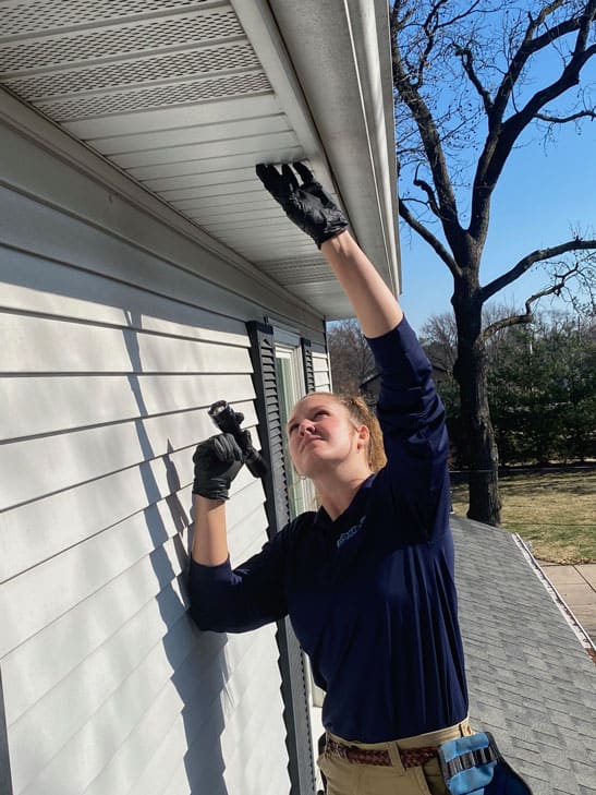 Wildlife Roof Inspection