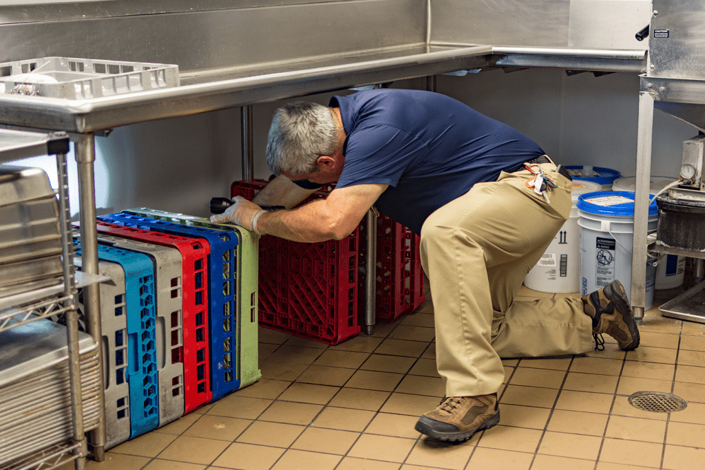 Commercial Pest Control In St Louis, Kansas City, MidMO