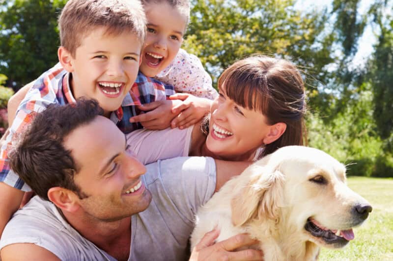 Summer Pest Control Tips