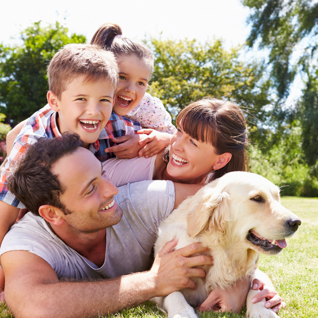Summer Pest Control Tips