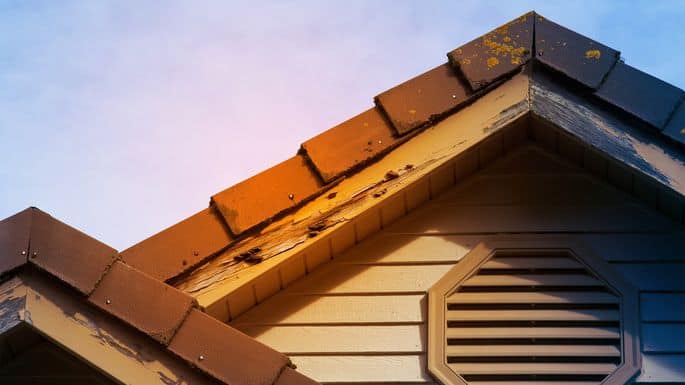 termite damage on the roof of an old home