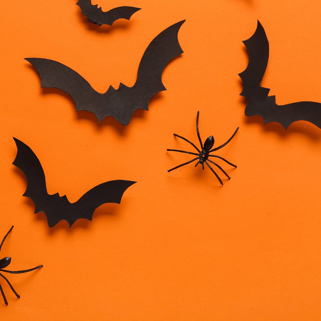 Top Pests to Watch Out for This Spooky Season