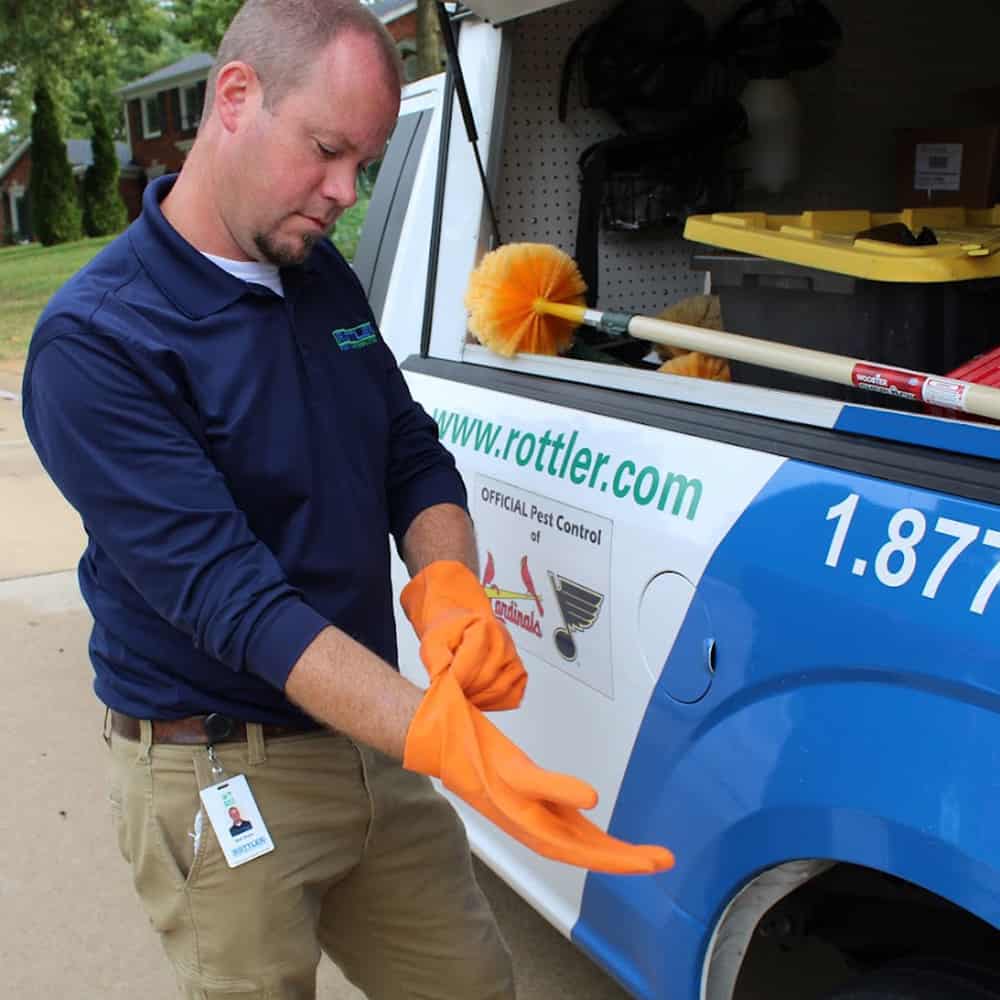 Rottler pest control discount